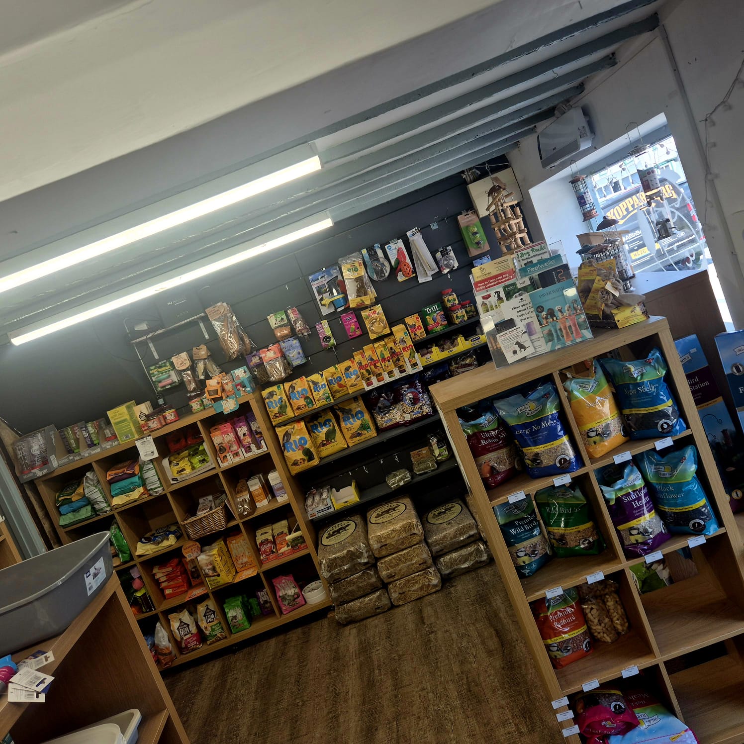 Amesbury Pets bird feed and shop shelving
